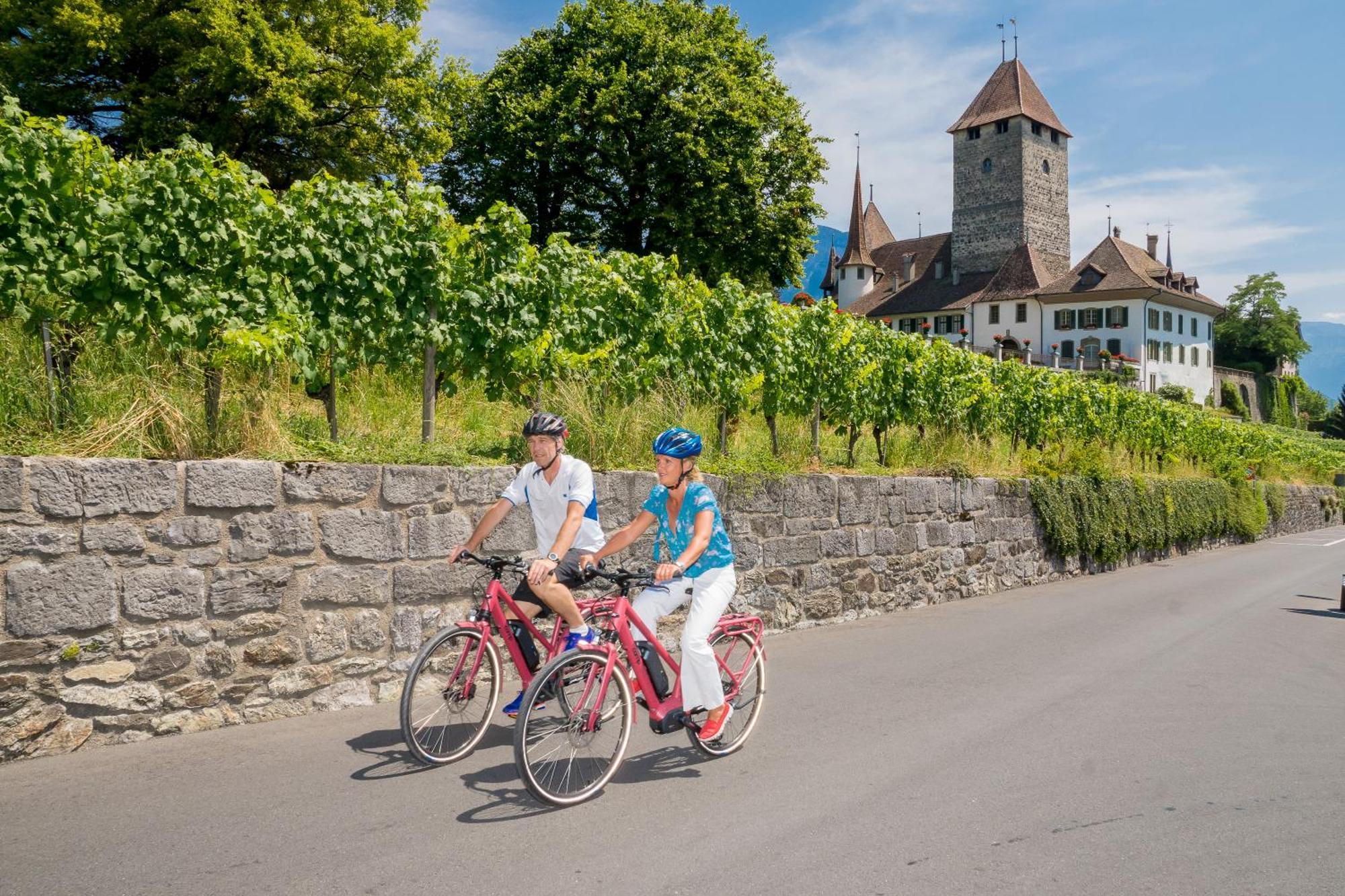 Hotel Seaside Spiez Luaran gambar